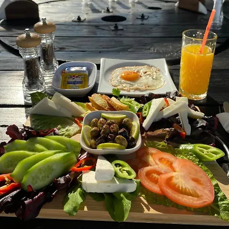 Seafront With Private Garden *